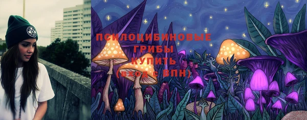 стаф Абинск