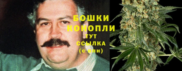 шишки Алексеевка