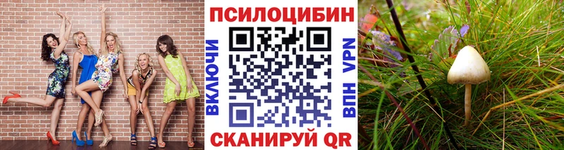 Псилоцибиновые грибы Psilocybe  купить закладку  даркнет формула  Скопин 